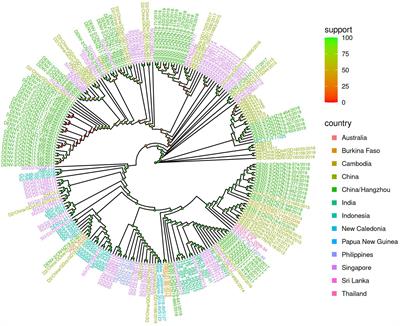 Genomic characterization of dengue virus serotype 2 during dengue outbreak and endemics in Hangzhou, Zhejiang (2017–2019)